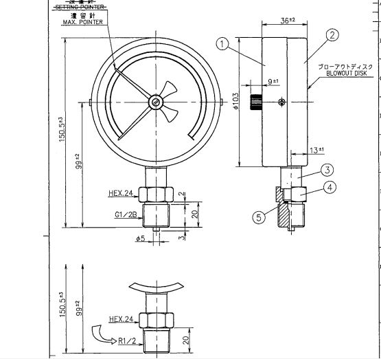 Đồng hồ đo áp suất Daiichi Keiki AS R1/2 φ100